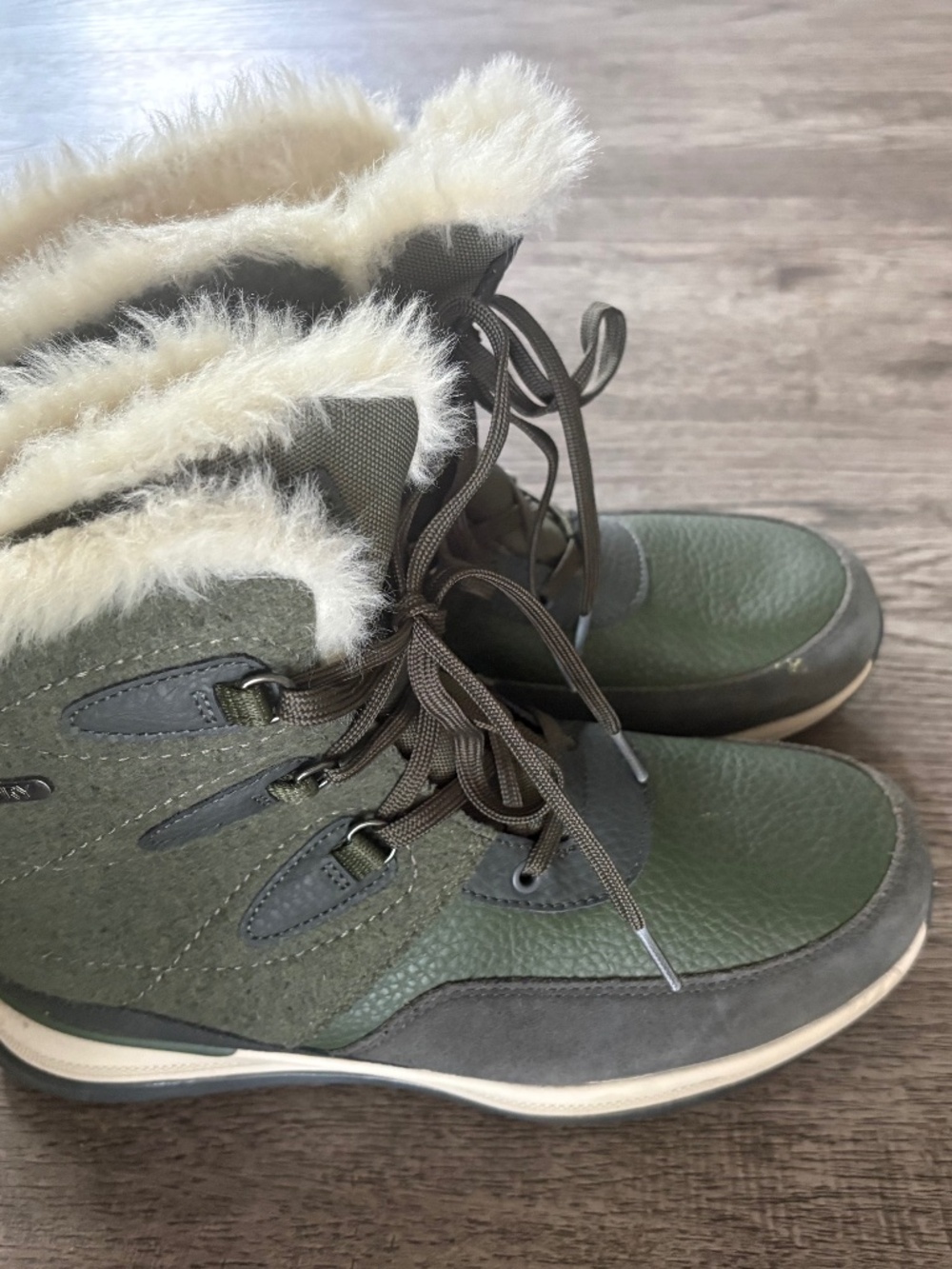 Snow shoe